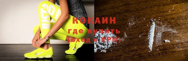 бошки Бородино
