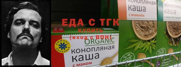 шишки Бронницы