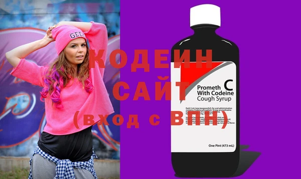 бошки Бородино