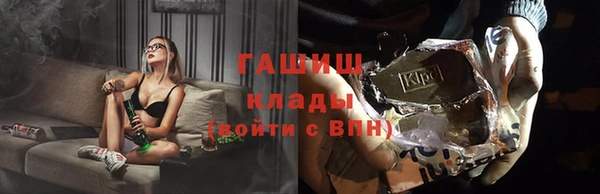 индика Верхний Тагил