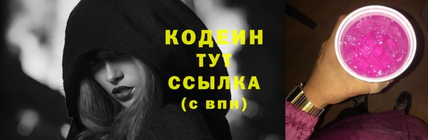 индика Верхний Тагил
