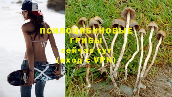 шишки Бронницы