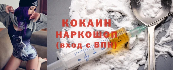 шишки Бронницы
