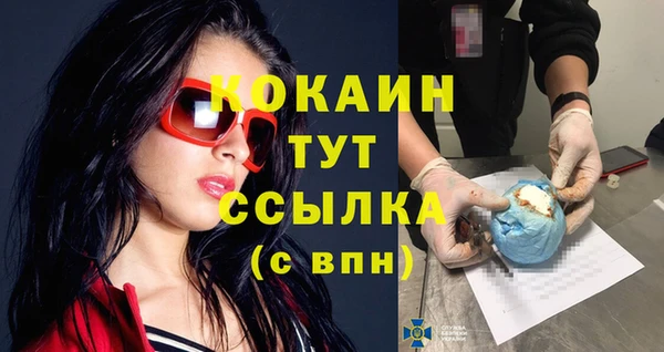 бошки Бородино