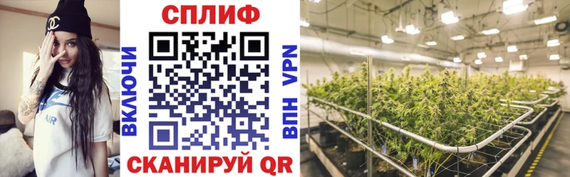 где найти   Новохопёрск  Шишки марихуана ГИДРОПОН 